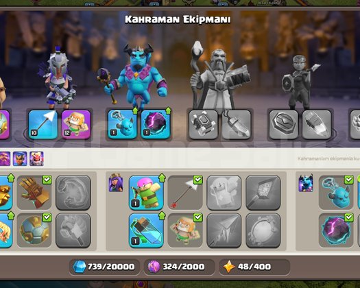 TH10 2015 AĞAÇLI KOLEKSİYON