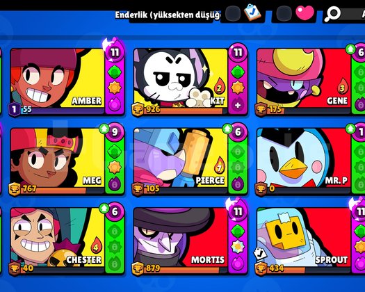 DOLU BRAWL STARS HESABI