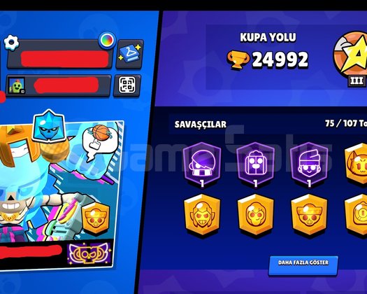 DOLU BRAWL STARS HESABI
