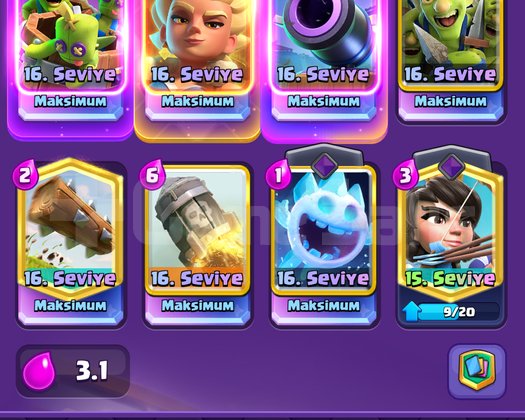 FULL KUPA 23 EVRİMLİ EFSANE HESAP