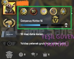 6 MADALYALI MAİNLİK SEÇKİN HESAP TR