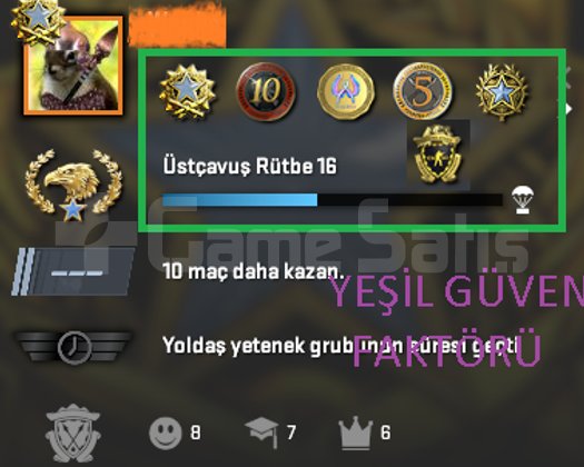 6 MADALYALI MAİNLİK SEÇKİN HESAP TR