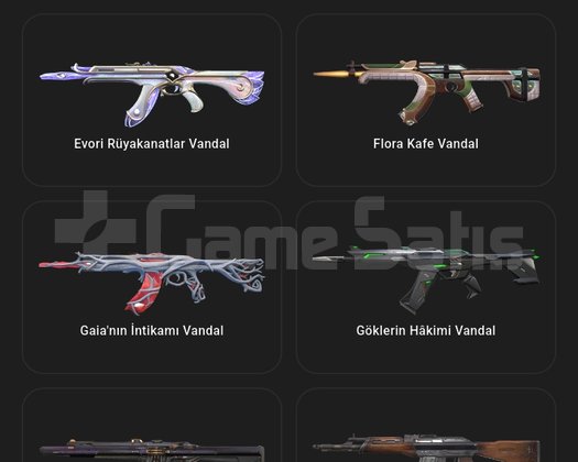 Valorant hesabı içi dolu peek Rank imo 1