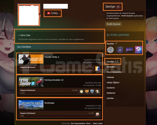11 MADALYALI 13 LV FACEİT ARMA 3 ETS 2 F
