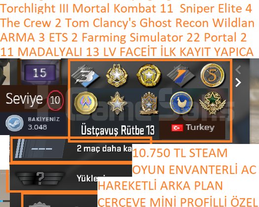 11 MADALYALI 13 LV FACEİT ARMA 3 ETS 2 F