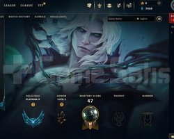 TR Plat 4 81 Lp 30 lp alan mailli hesap