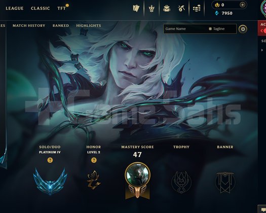 TR Plat 4 81 Lp 30 lp alan mailli hesap