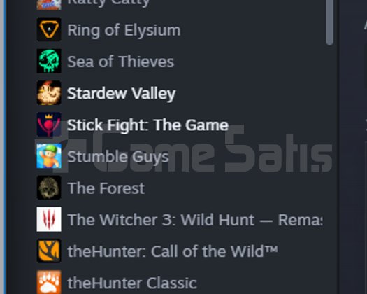 Steam Hesabımı Satıyorum Bana Aittir