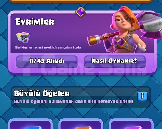 1628 LVL 2647 Elmas 11 Evrim