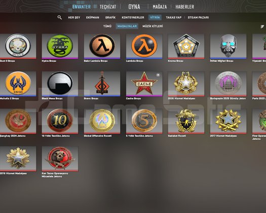 27 MADALYA STEAM 60 LEVEL