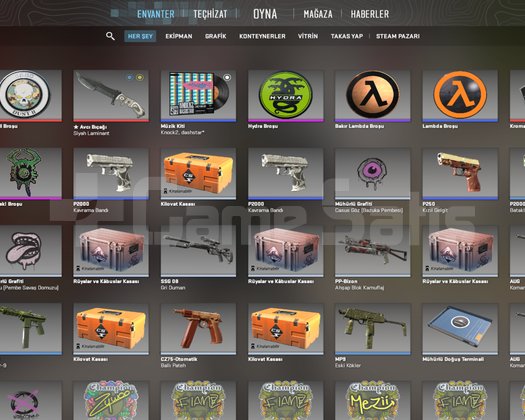 27 MADALYA STEAM 60 LEVEL