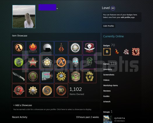 27 MADALYA STEAM 60 LEVEL