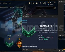 Zümrüt 4 80 WR 91 SKİN +30LP