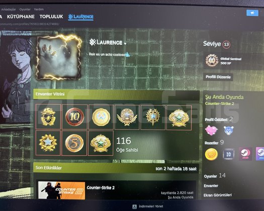 9 MADALYA + FACEIT SEÇKİN HESAP