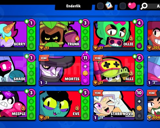 11 K HESAP