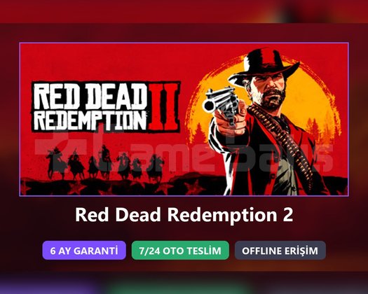 Red Dead Redemption 2 RDR2