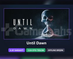 Until Dawn