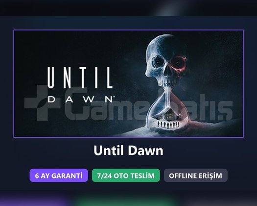 Until Dawn