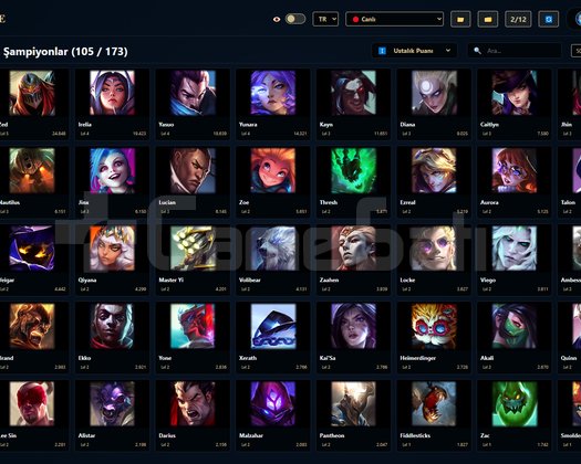 TR / 58 LVL + 21 SKİN + Zümrüt 3 + OTO