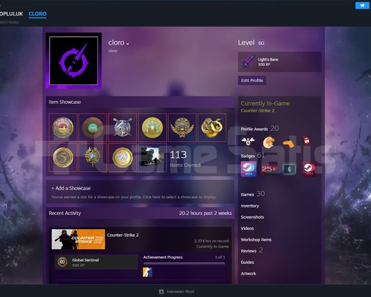 Nadir madalyalı mainlik steam hesabı
