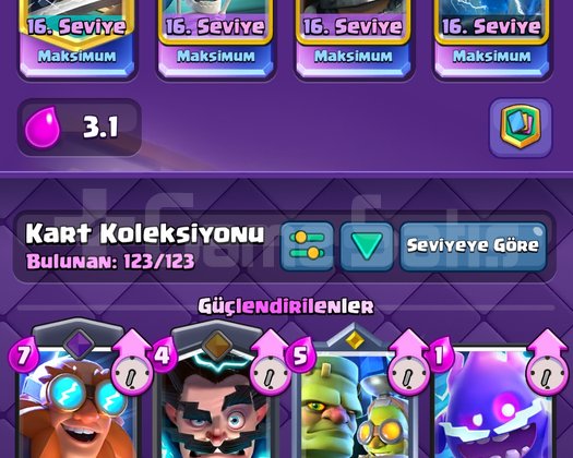 16 Lv 14 K Kupa Uygun hesap