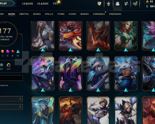 TR Üstatlık 1050 LP 561 Level Full Şamp