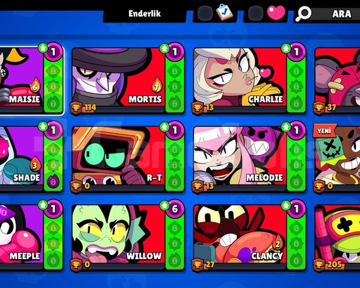 6 K HESAP