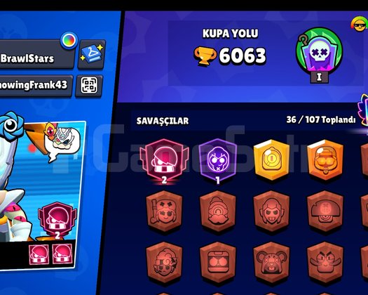 6 K HESAP