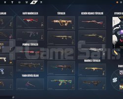 SKIN DOLU HESAP