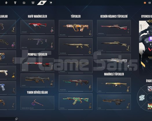 SKIN DOLU HESAP