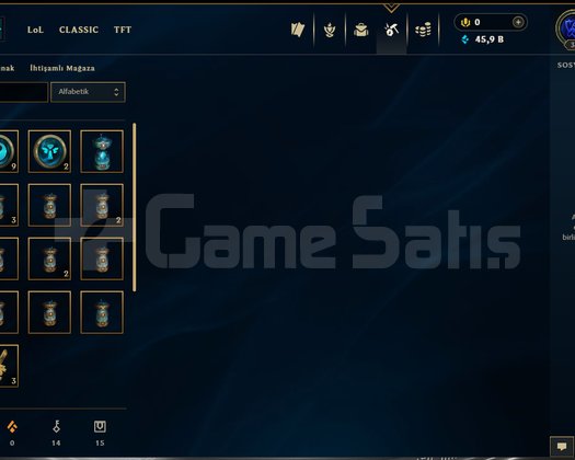 30 LEVEL TR UNRANKED HESAP