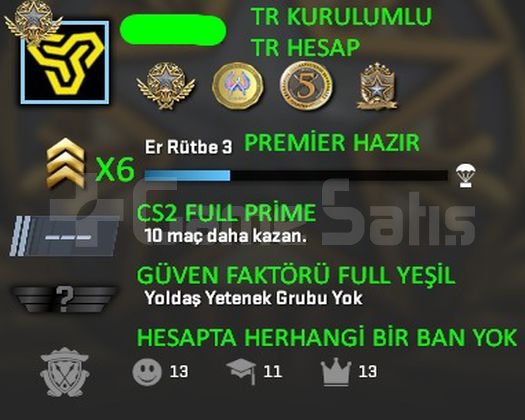 TR HESAP CS2 Prime Yeşil FaktörX6