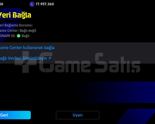 Tek Bağ 3210kg BOL EPICLI hesap