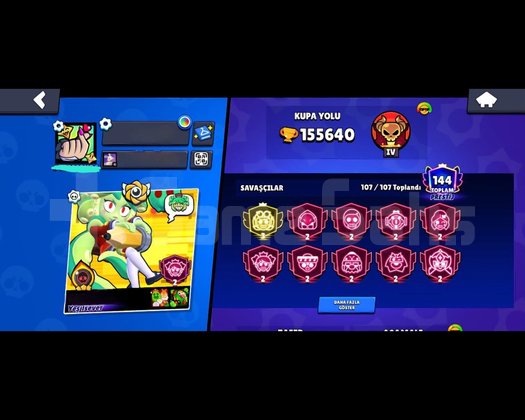 155.000 Kupa Brawl Stars hesabı