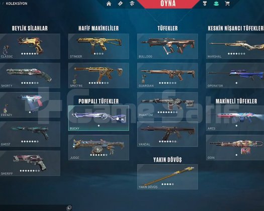 immo koleksiyon skinli hesap
