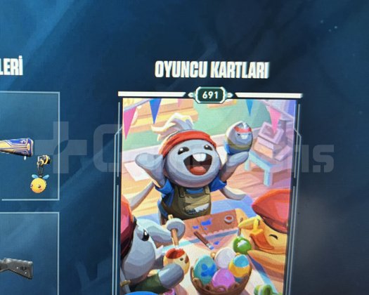 691 LEVEL KOLEKSİYONLUK HESAP