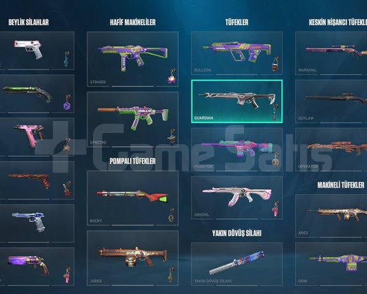 691 LEVEL KOLEKSİYONLUK HESAP