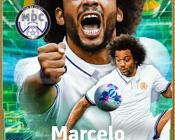 TAZE/FRESH EPIC MARCELO HESABI