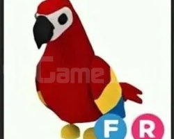 Adopt Me - FR Parrot