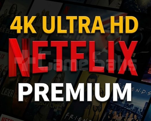 Netflix 4K + Kişiye Özel Profil + Destek