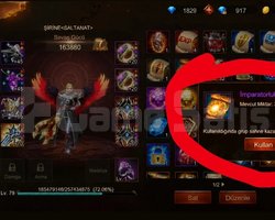 TR SUNUCUSU 79 LEVEL SAVAŞÇI 160k SG