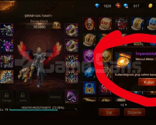 TR SUNUCUSU 79 LEVEL SAVAŞÇI 160k SG
