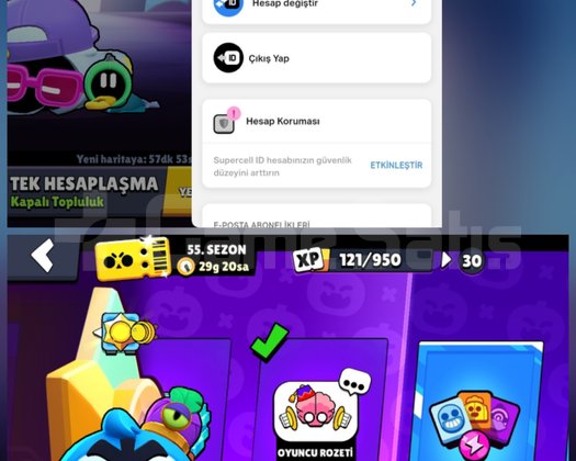 P3 SHADE İSKELETOR PİPER İD DEĞİŞEN