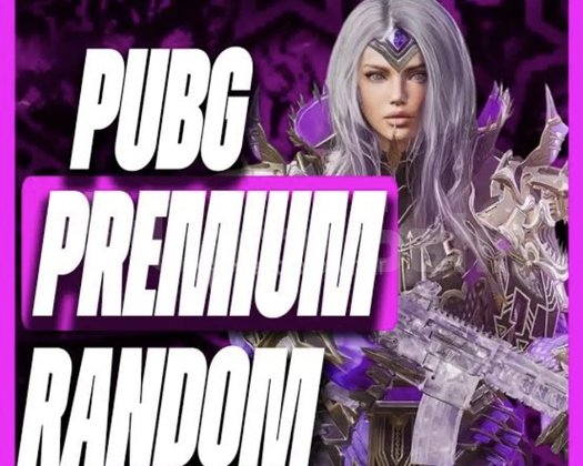 30 TL PREMİUM RANDOM HESAP SINIRLI STOK