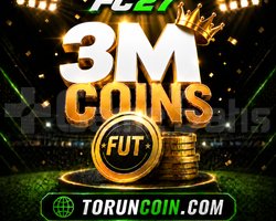 3M PC COIN