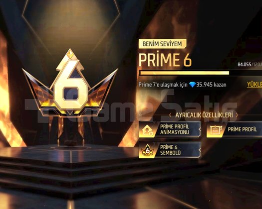 SATILIK 5 YILLIK FREE FIRE HESABI