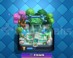 6.600 kupa