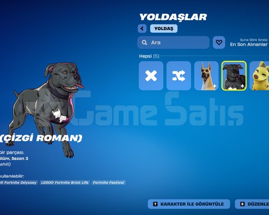 Dolu HESAP