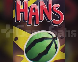 Hans + Garanti