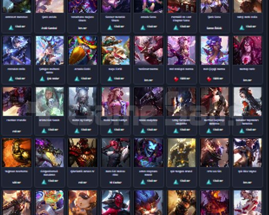 880 LEVEL EMERALD 1 180KOSTUM FULLCHAMP